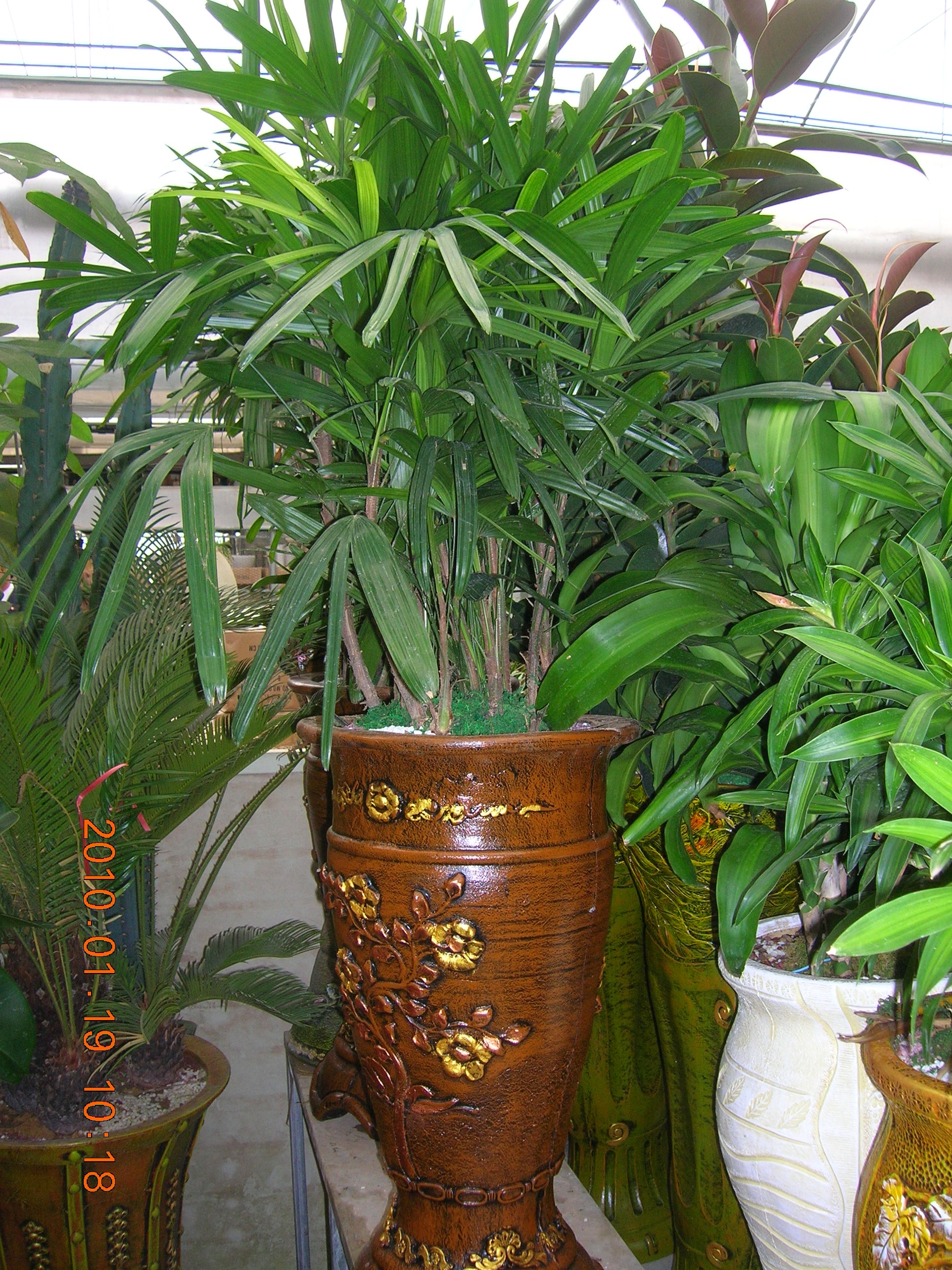 �������Դϴ�