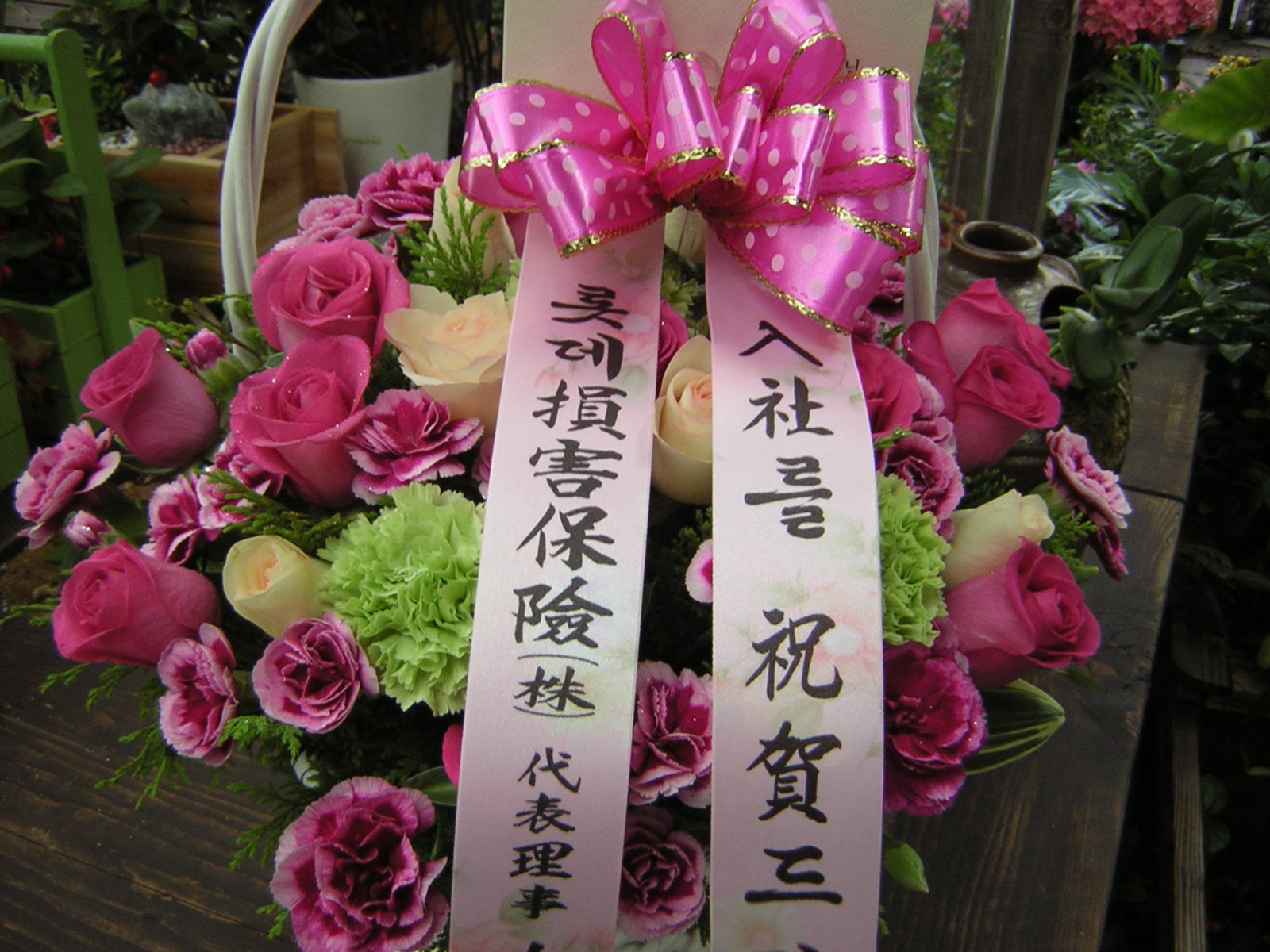 �Ի����Ϲٱ���