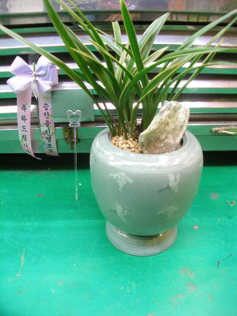 û�����ڱ�