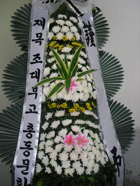 �������ΰ�����