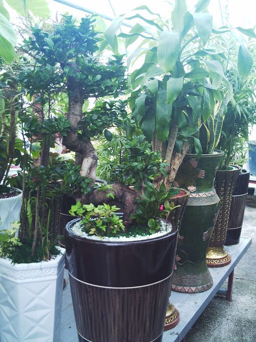 ��ٰ��������Դϴ�