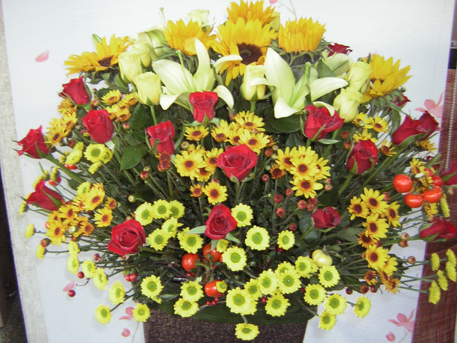 �����ٱ���