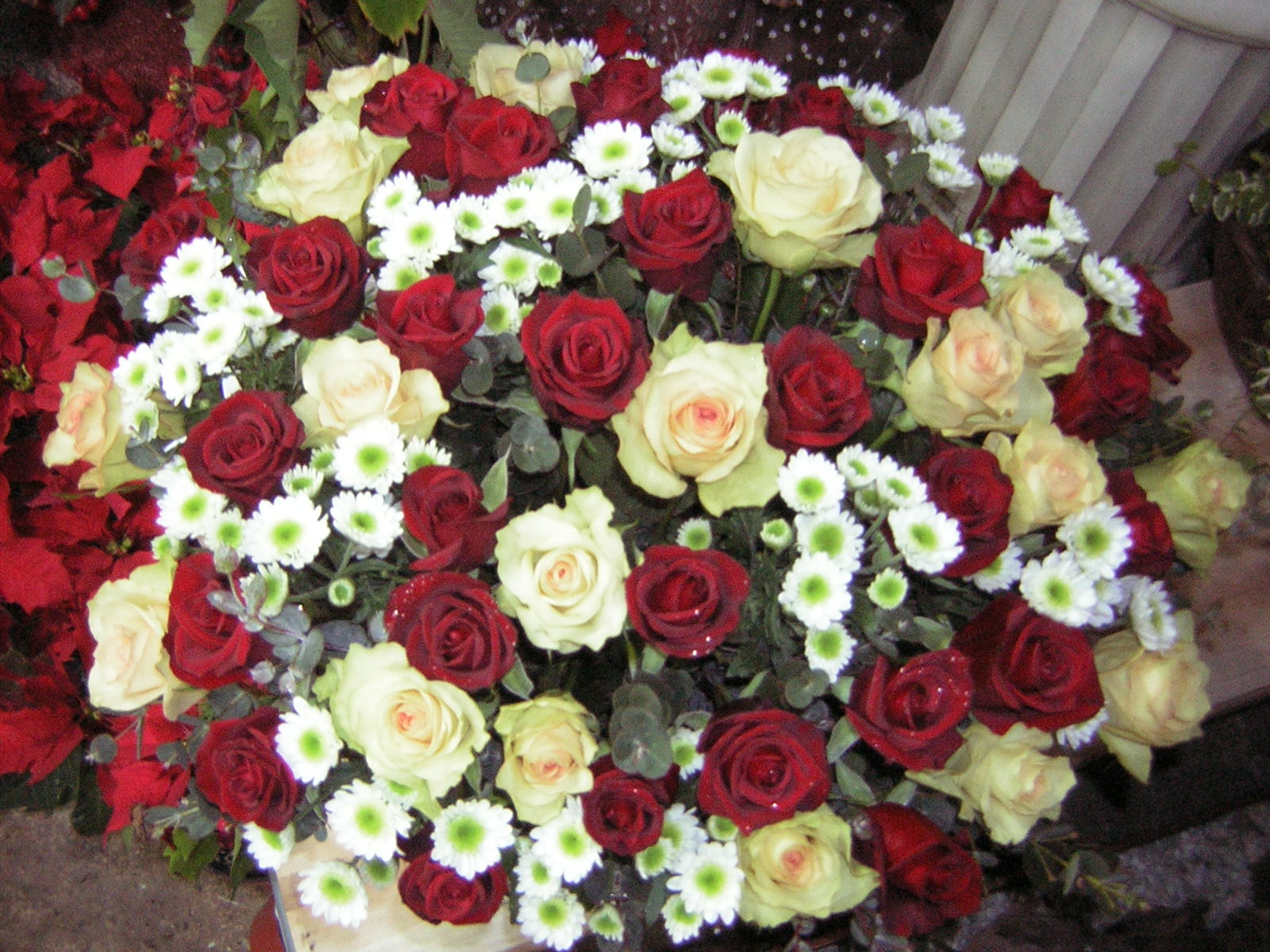 �ɹٱ����Դϴ�