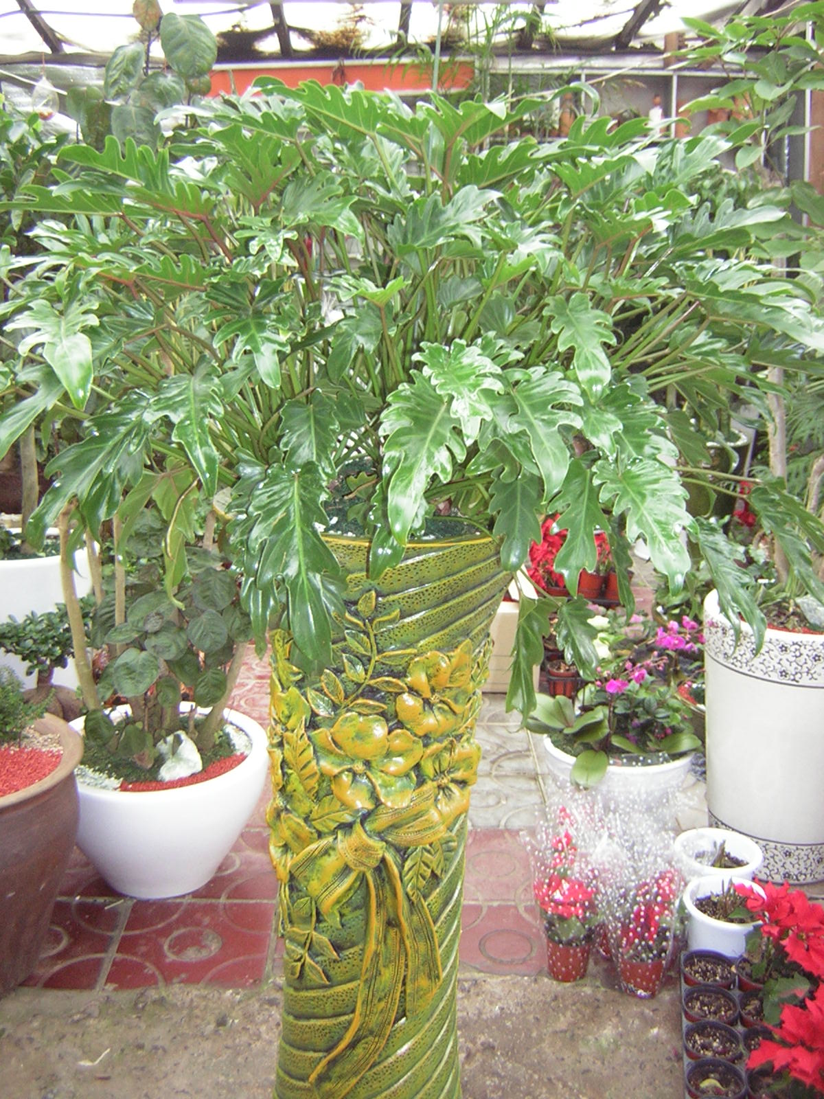 �����Դϴ�