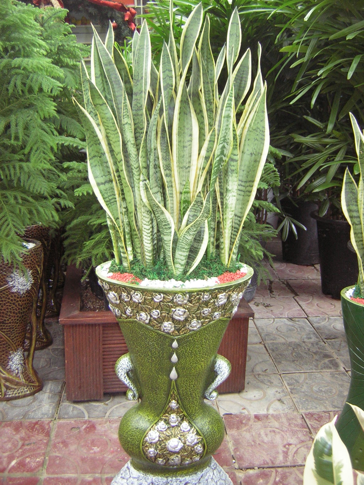 �꼼������