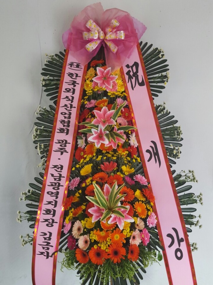 �����ܽ�ī�ױⰳ������