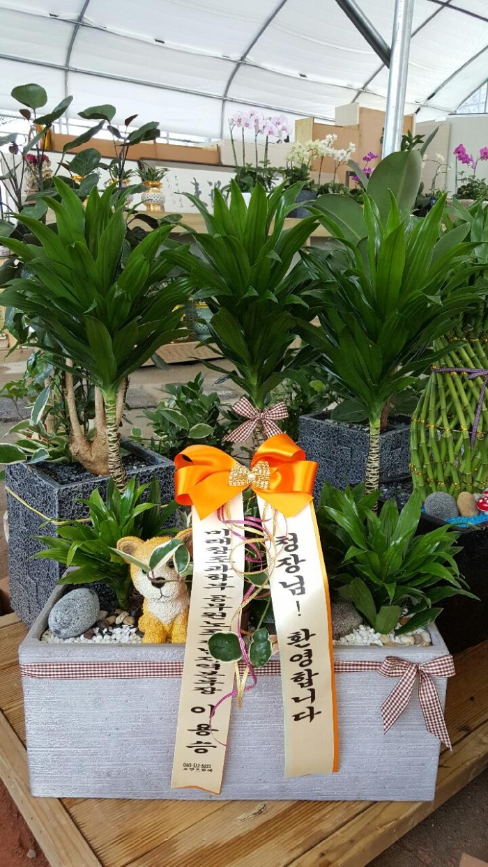 ����Ÿ�Դϴ�