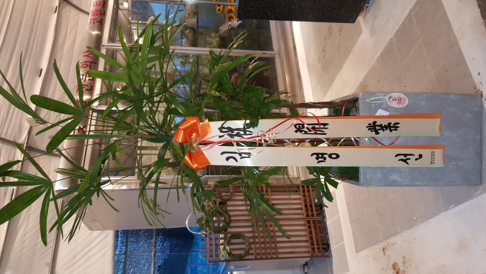 ������ (�ϱ��žȵ�