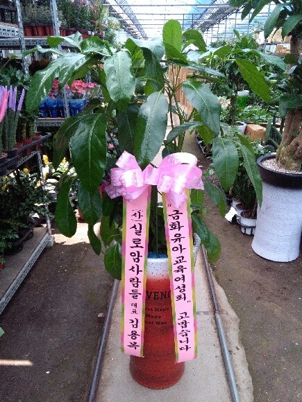 �뿱ȫ���Դϴ�