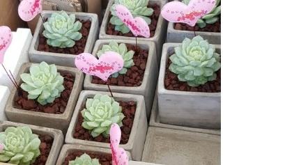 ��������(��âȸ������~