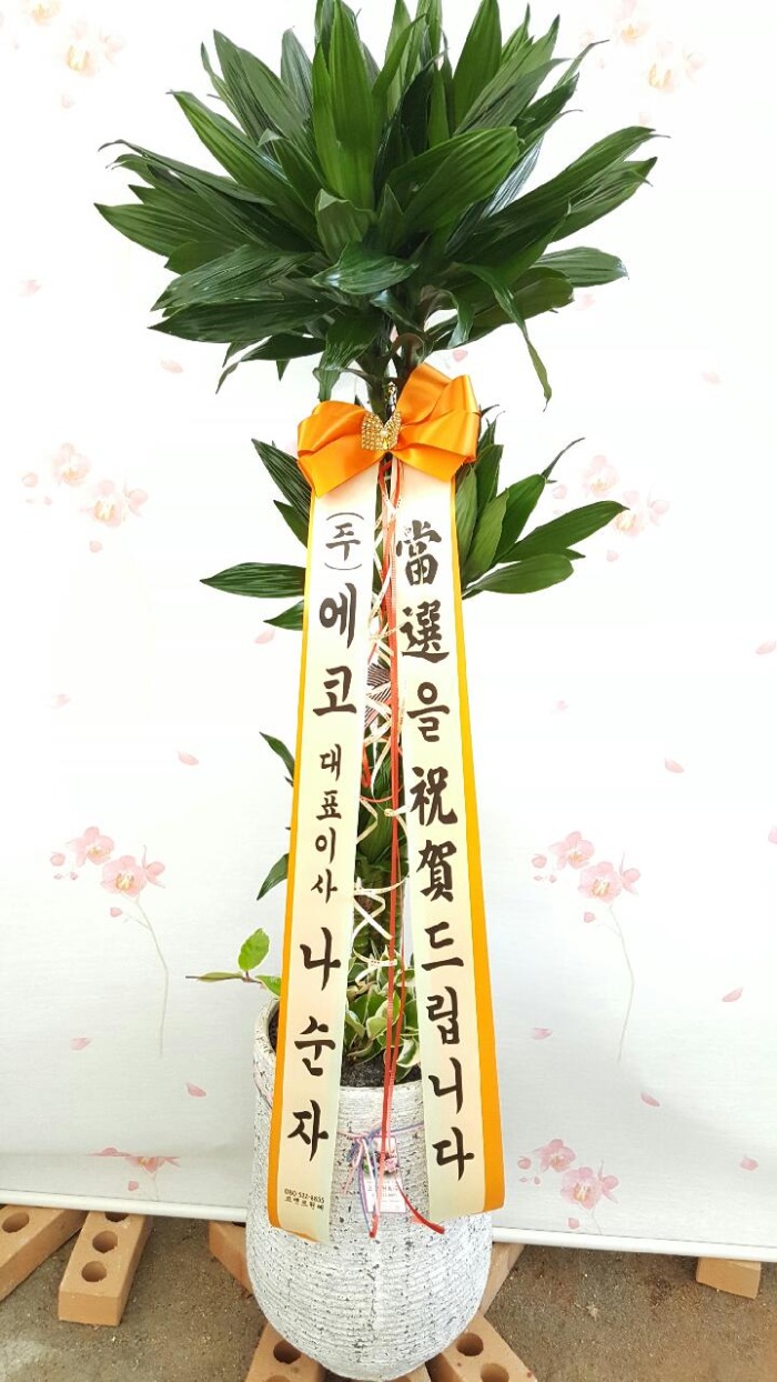 ����Ÿ(����������