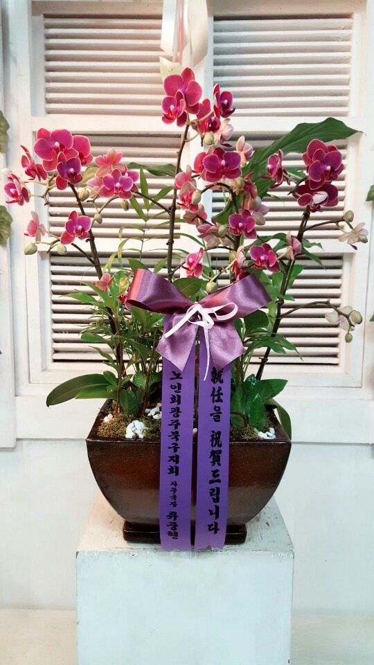 ȣ���� (��������