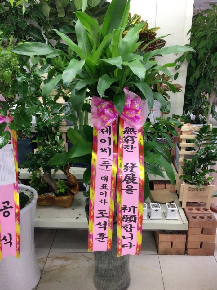 ���� (��������