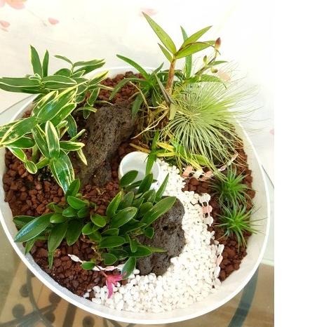 ��������ȭ��