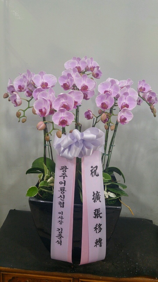 ��� (Ȯ����������)