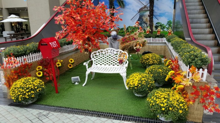 ����ƺ����伥 (�����ƿ﷿