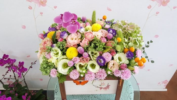 �ɹٱ��� (�ϳ�