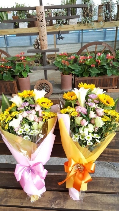 �ɴٹ� (������