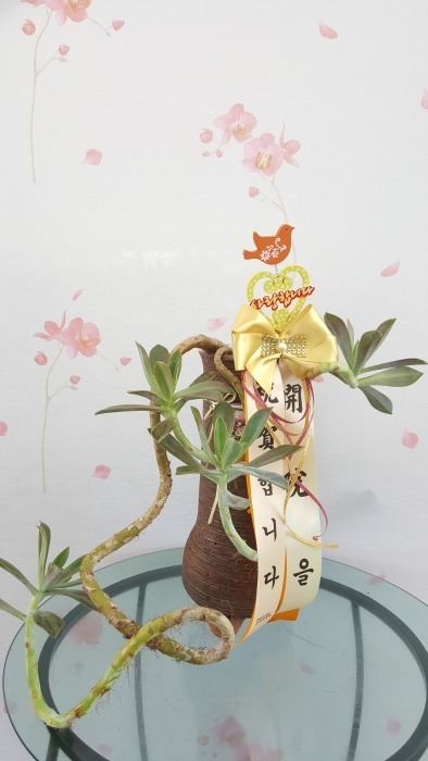 ���� (������)