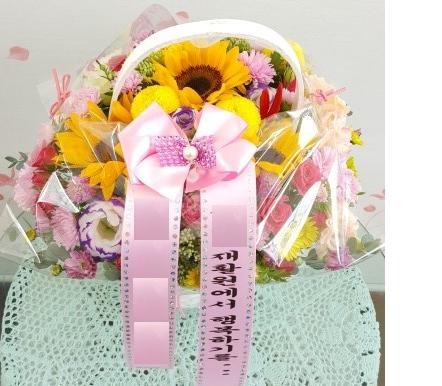 �ɴٹ�(����