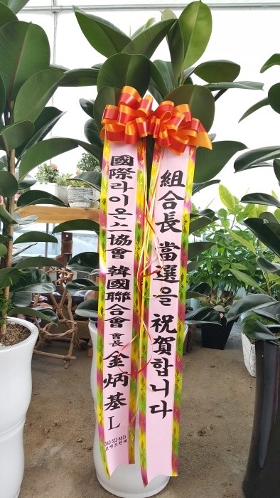 ��������(��ȣ��