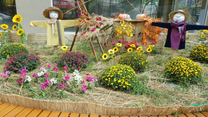 �����ƿ﷿����ƺ�