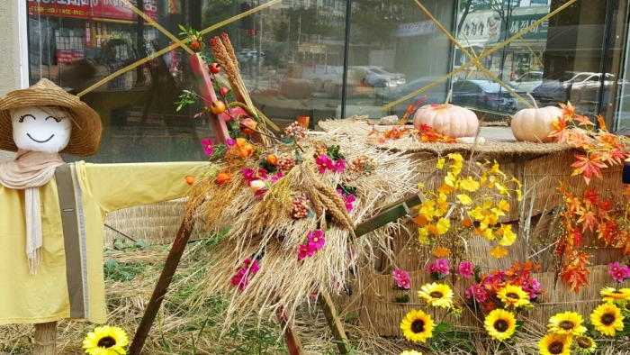 �����ƿ﷿ ����ƺ�