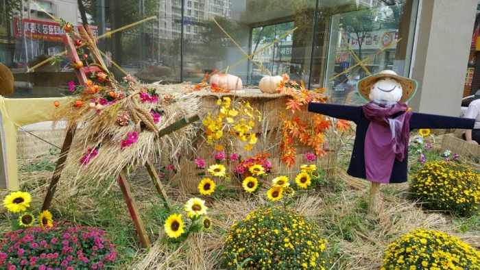 �����ƿ﷿ ����ƺ�