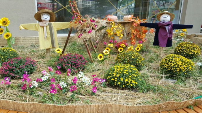 �����ƿ﷿ ����ƺ�