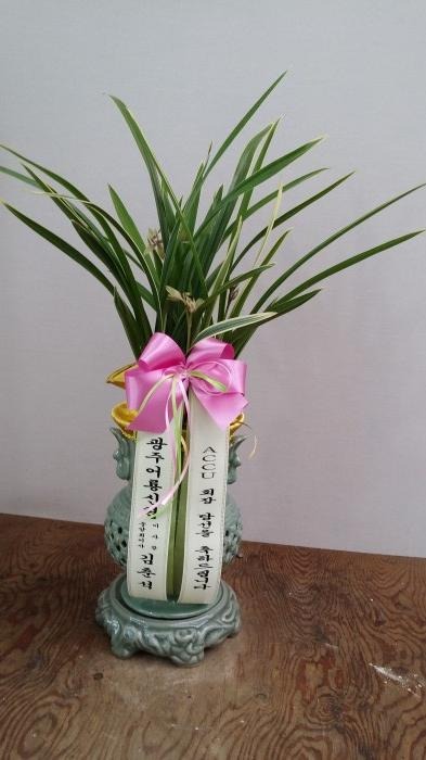 �����(����