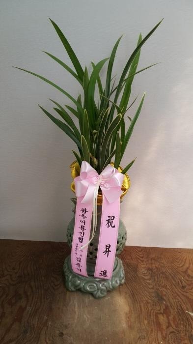 �����(����