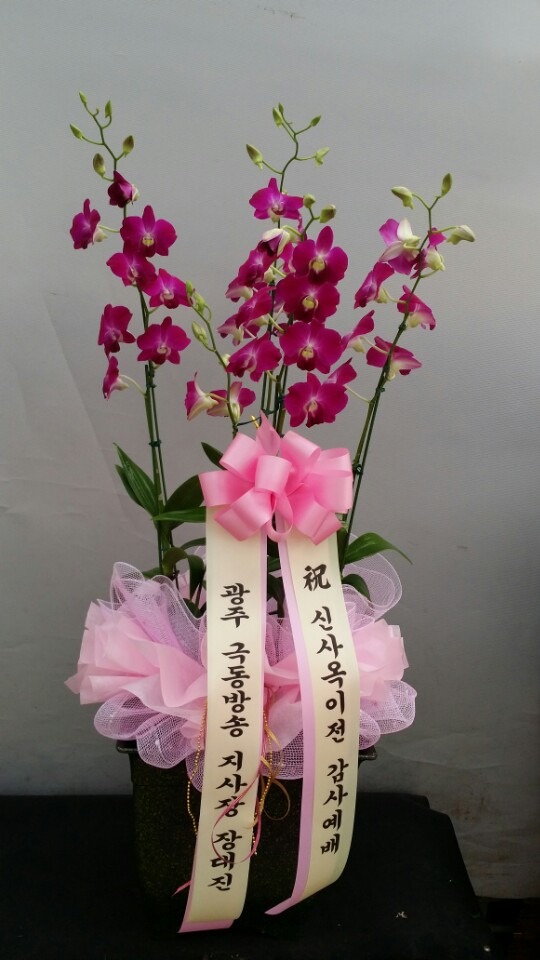 ���ķ�(����