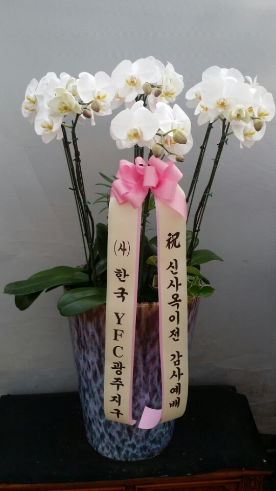 ȣ����(����