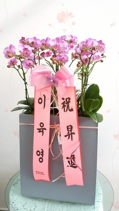 ȣ����(����)