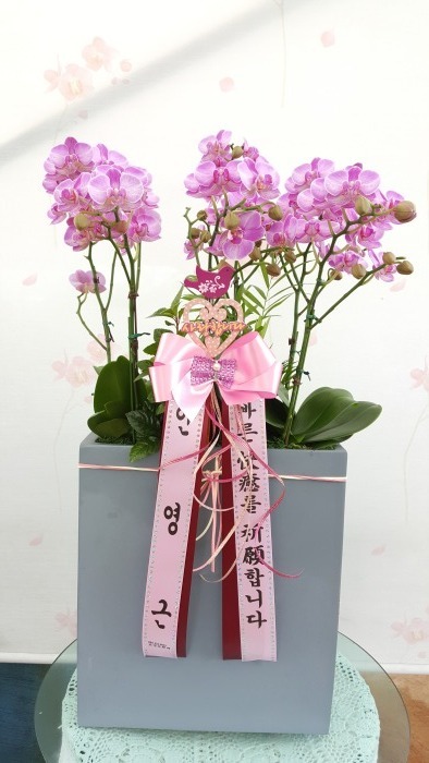 ȣ����(���������