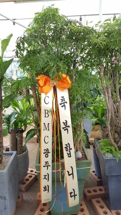 �����Ž�(����