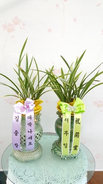 �����(����