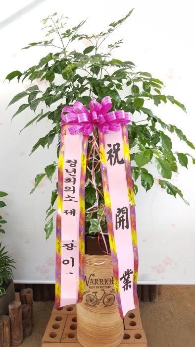 �������ϳ캸��