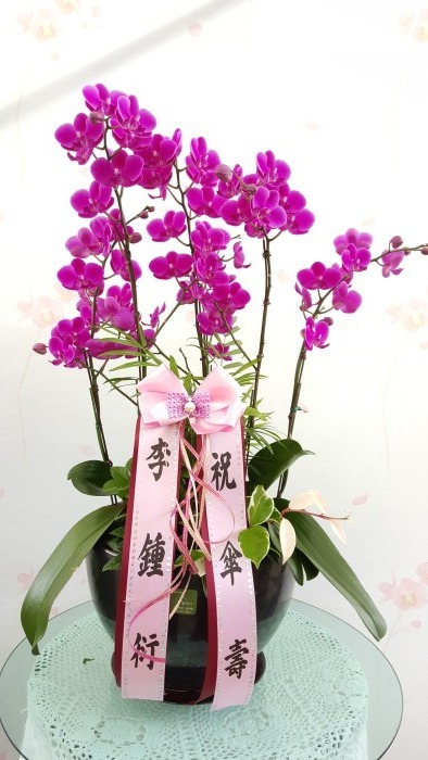 ��õȫ(����