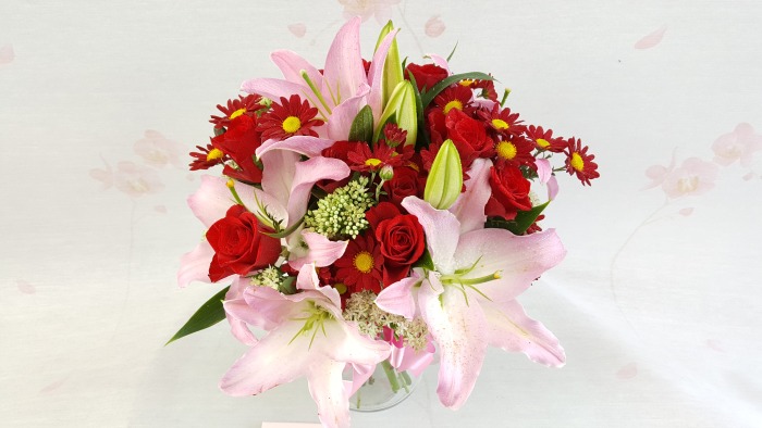 �ɺ�(����