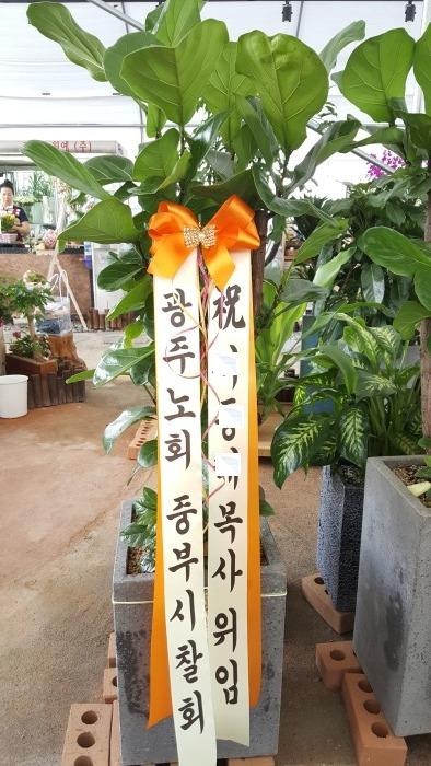 ��������(����