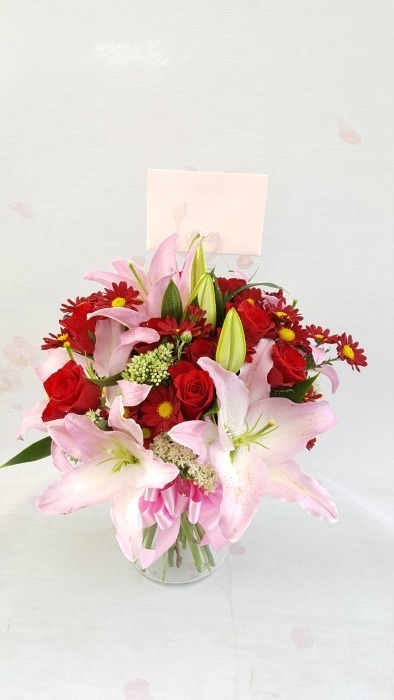 �ɺ�(����