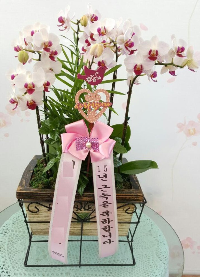 ȣ����(����