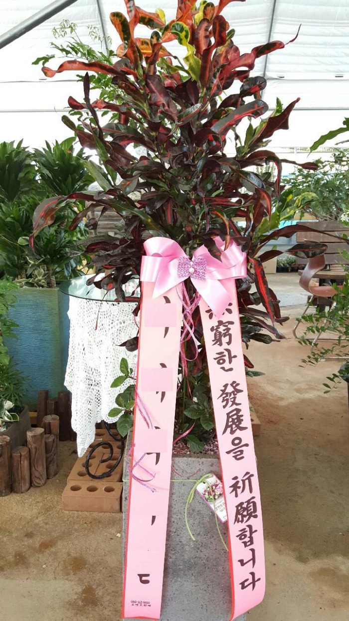 ũ����(����