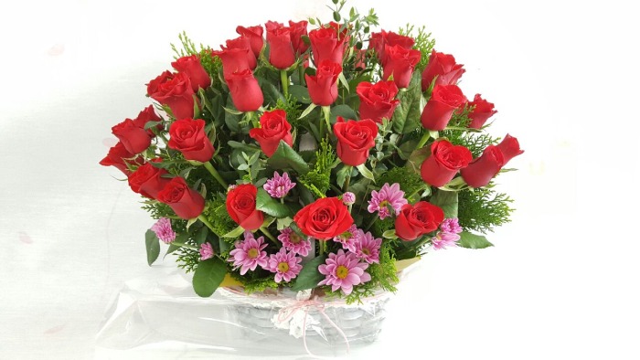 50������̲ɹٱ���