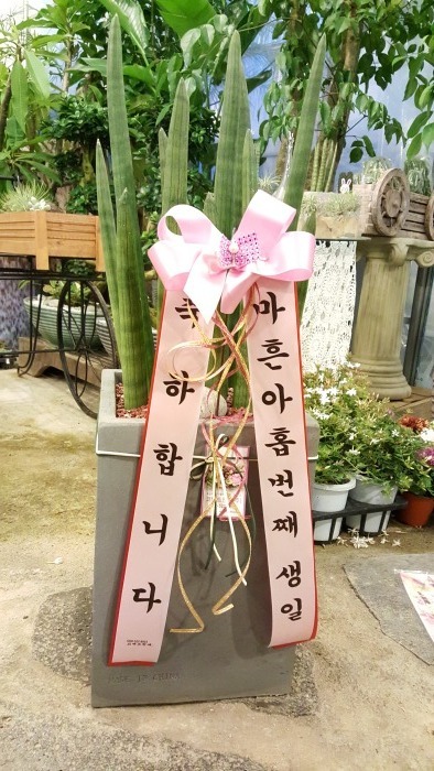 �꼼������