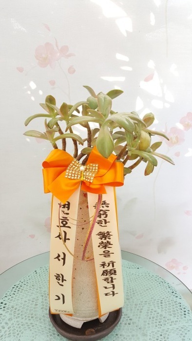 ���� (����)