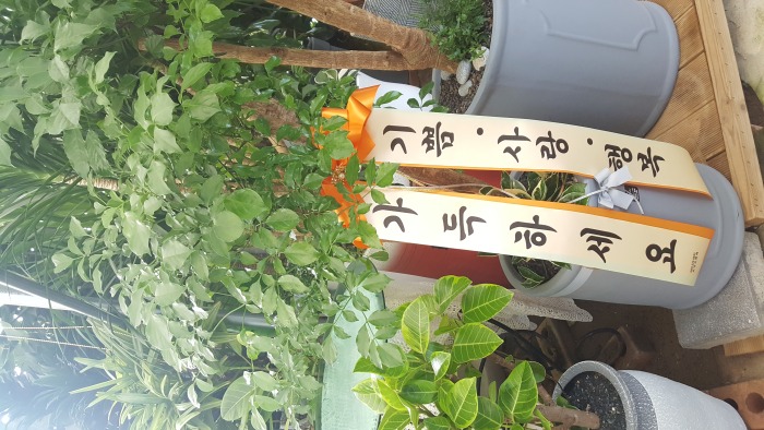 ����Ʈ��