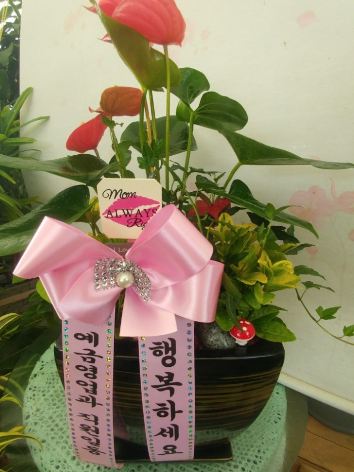 �Ƚ�����