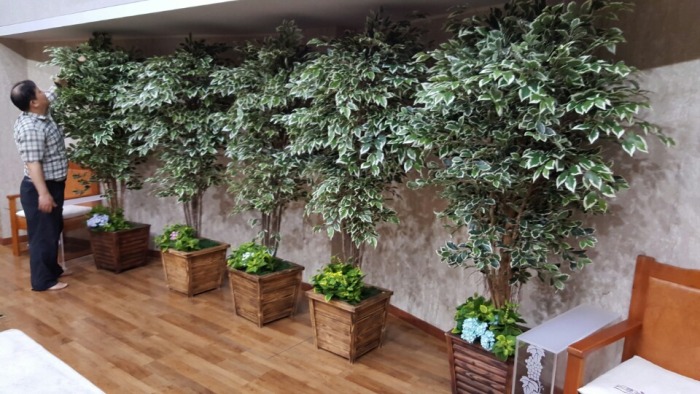 Į���ڹ���ȭ